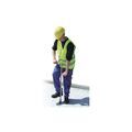 Peintures sur Annecy : Aligneur re poids 2,7 kg 1 pi&egrave;ce(s) aligneur re poids 2,7 kg - probst