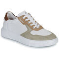 Baskets basses Fluchos BOSTON