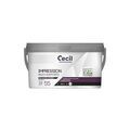 Peintures sur Annecy : CECIL PROFESSIONNEL Impression plaque de pl&acirc;tre expert ip55 nouveau format supports neufs ou sains int&eacute;rieur soign&eacute; eau blanc 10 m�/l 6 heure(s) 1 pot(s) de 5 litre(s) al