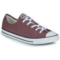 Baskets basses Converse CHUCK TAYLOR ALL STAR DAINTY