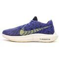 Chaussures Nike Pegasus Turbo