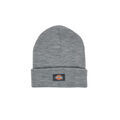 Bonnets sur Grenoble : Bonnet Dickies GIBSLAND BEANIE
