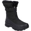 Bottes Westland Grenoble 03