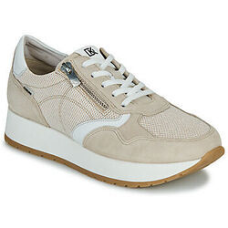 Baskets basses Dorking SPLIT