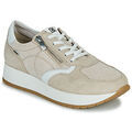 Baskets basses Dorking SPLIT