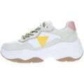 Baskets Guess -