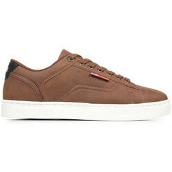 Baskets British Knights Dale