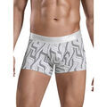 Lingerie homme sur Grenoble : Boxers Clever Boxer Lazos Gris