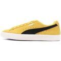 Baskets basses Puma 391962-07