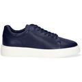 Baskets Mcgregor Bronx Navy