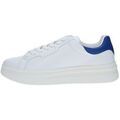 Baskets Guess - Grenoble