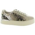 Baskets femme sur Grenoble : Baskets Liu Jo PRETTY 06