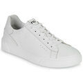 Baskets homme sur Grenoble : Baskets basses NeroGiardini E400240U