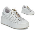 Baskets basses IgI&CO D.ALLY