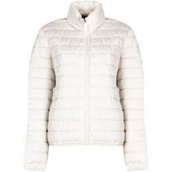Blouson Invicta 4431759/U