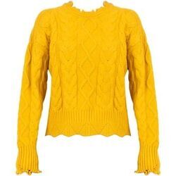 Pull Pinko 1G166W Y79B | Chianti