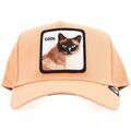 Casquette Goorin Bros Cool Cat