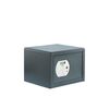 BURG WACHTER Coffres-forts pure-safe 350 mm 20 kg 1 pi&egrave;ce(s) coffre-fort &agrave; empreinte digitale 120 e fp 300 mm 20.6 litre(s) 255 mm serrure &eacute;lectronique avec biom&eacute;t