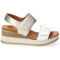 Chaussures Mephisto SWENA