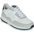Baskets basses Clae JOSHUA