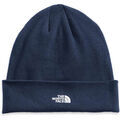 Chapeaux sur Grenoble : Chapeau The North Face NF0A5FW1