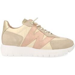 Baskets Wonders -