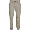 Jeans Jack & Jones Paul Warner Cargo