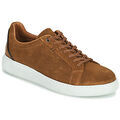 Baskets basses Pellet OSCAR Marron