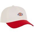 Casquettes sur Grenoble : Casquette Dickies Hardwick 2 Tone Egret