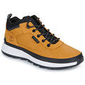 Baskets homme sur Grenoble : Baskets montantes Timberland FIELD TREKKER