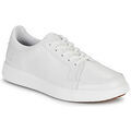 Baskets homme sur Grenoble : Baskets basses Timberland EMERSON STREET