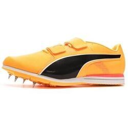Chaussures Puma Evospeed