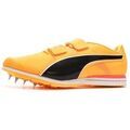 Running sur Grenoble : Chaussures Puma Evospeed