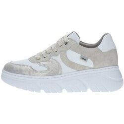 Baskets CallagHan -