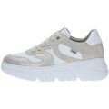 Baskets CallagHan -