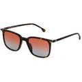 Lunettes sur Grenoble : Lunettes de soleil Lozza SL4320 ROMA 1 Lunettes de soleil, Havana/Marron, 52 mm