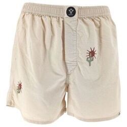 Short Bsbee Wind