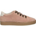 Baskets femme sur Grenoble : Baskets Kickers Sprite, Sneakers Basse Femme,