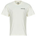 T-shirt Dickies LANDASCAPE SS TEE