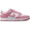 Baskets Nike Wmns Dunk Low Next Nature