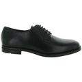 Baskets homme sur Grenoble : Baskets basses Geox U36FXC DECIO