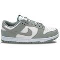Baskets homme sur Grenoble : Baskets basses Nike Dunk Low SE Light Pumice