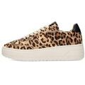 Baskets basses Haboob AURLIE Baskets pour femmes Grenoble