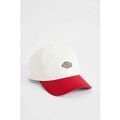 Chapeaux sur Grenoble : Chapeau Dickies HARDWICK 2 TONE - DK0A4Z6L-C481 EGRET