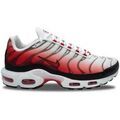 Baskets homme sur Grenoble : Baskets basses Nike Air Max Plus TN Gym Red