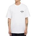 Tee-shirts sur Grenoble : T-shirt Dickies DK0A863G0WH1