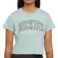 Tee-shirts sur Grenoble : T-shirt Dickies Aitkin
