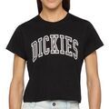 Tee-shirts sur Grenoble : T-shirt Dickies Aitkin