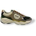 Chaussures Colmar -
