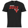 T-shirt New-Era NBA ESSENTIALS TEE CHICAGO BULLS